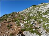 Planina Kosmačeve Rastke - Velika Raduha